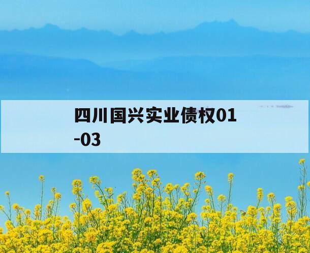 四川国兴实业债权01-03