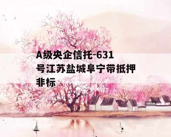 A级央企信托-631号江苏盐城阜宁带抵押非标