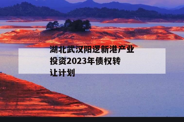 湖北武汉阳逻新港产业投资2023年债权转让计划