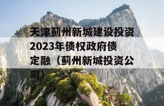 天津蓟州新城建设投资2023年债权政府债定融（蓟州新城投资公司）