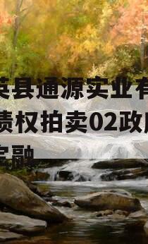 大英县通源实业有2023债权拍卖02政府债定融