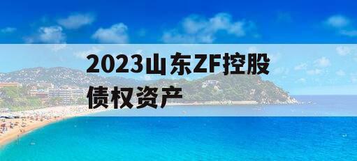 2023山东ZF控股债权资产