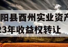 酉阳县酉州实业资产2023年收益权转让