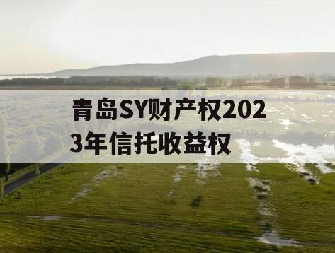 青岛SY财产权2023年信托收益权