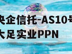 央企信托-AS10号大足实业PPN