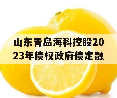 山东青岛海科控股2023年债权政府债定融