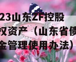 2023山东ZF控股债权资产（山东省债券资金管理使用办法）