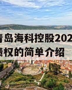 青岛海科控股2023债权的简单介绍