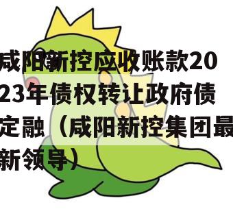 咸阳新控应收账款2023年债权转让政府债定融（咸阳新控集团最新领导）