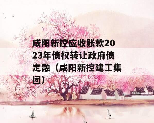 咸阳新控应收账款2023年债权转让政府债定融（咸阳新控建工集团）