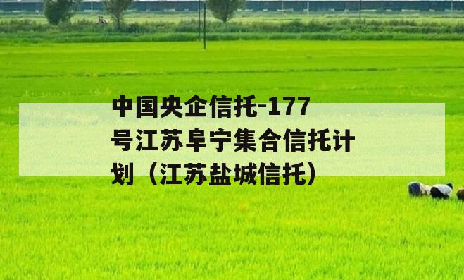 中国央企信托-177号江苏阜宁集合信托计划（江苏盐城信托）