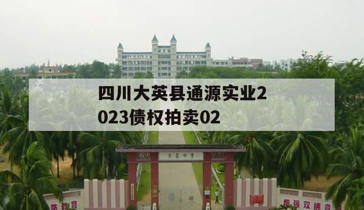 四川大英县通源实业2023债权拍卖02