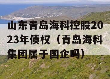 山东青岛海科控股2023年债权（青岛海科集团属于国企吗）