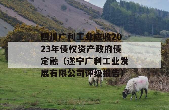 四川广利工业应收2023年债权资产政府债定融（遂宁广利工业发展有限公司评级报告）