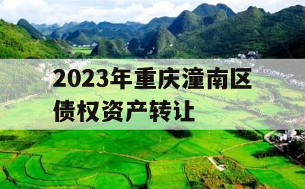 2023年重庆潼南区债权资产转让