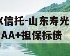 XX信托-山东寿光券内AA+担保标债