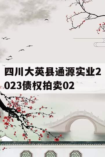 四川大英县通源实业2023债权拍卖02