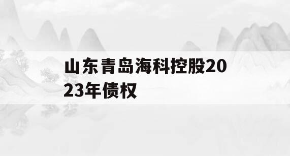 山东青岛海科控股2023年债权