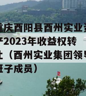 重庆酉阳县酉州实业资产2023年收益权转让（酉州实业集团领导班子成员）