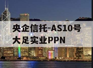 央企信托-AS10号大足实业PPN