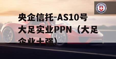 央企信托-AS10号大足实业PPN（大足企业十强）