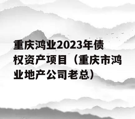 重庆鸿业2023年债权资产项目（重庆市鸿业地产公司老总）