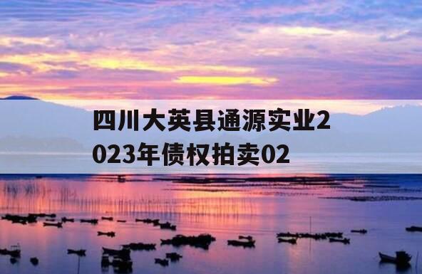 四川大英县通源实业2023年债权拍卖02