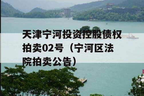 天津宁河投资控股债权拍卖02号（宁河区法院拍卖公告）