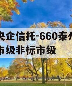 央企信托-660泰州市级非标市级