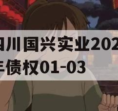 四川国兴实业2023年债权01-03