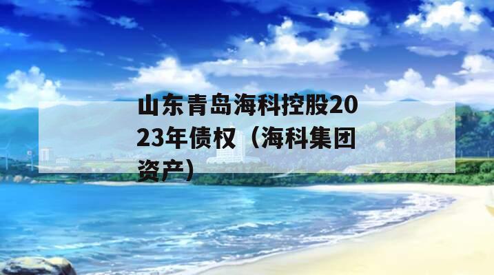 山东青岛海科控股2023年债权（海科集团资产）