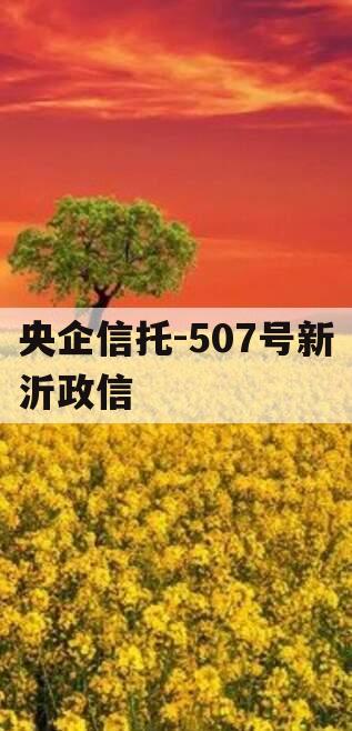 央企信托-507号新沂政信