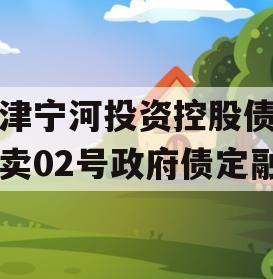 天津宁河投资控股债权拍卖02号政府债定融