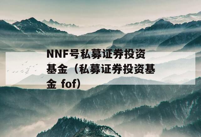 NNF号私募证券投资基金（私募证券投资基金 fof）