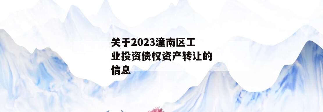 关于2023潼南区工业投资债权资产转让的信息