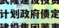 重庆武隆建设投资债权融资计划政府债定融（武隆建投集团董事长）