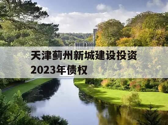 天津蓟州新城建设投资2023年债权