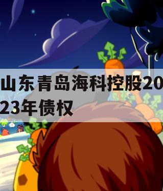 山东青岛海科控股2023年债权