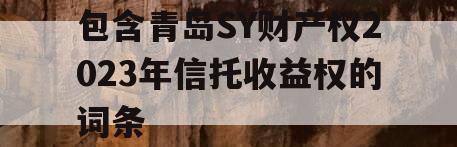 包含青岛SY财产权2023年信托收益权的词条