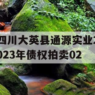 四川大英县通源实业2023年债权拍卖02