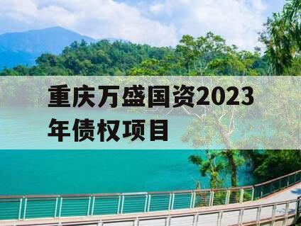 重庆万盛国资2023年债权项目