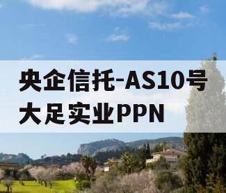 央企信托-AS10号大足实业PPN