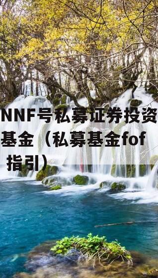 NNF号私募证券投资基金（私募基金fof 指引）