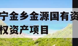 济宁金乡金源国有资本债权资产项目