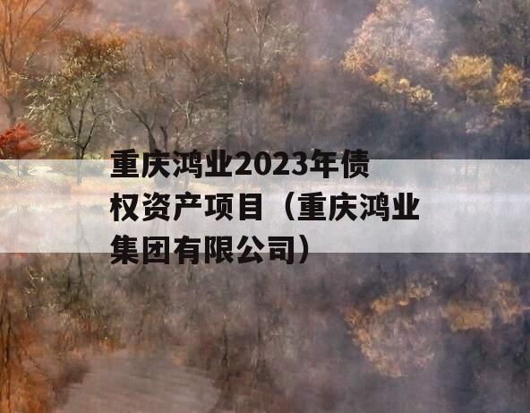 重庆鸿业2023年债权资产项目（重庆鸿业集团有限公司）