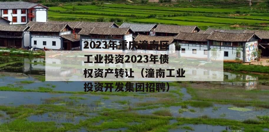 2023年重庆潼南区工业投资2023年债权资产转让（潼南工业投资开发集团招聘）