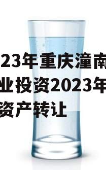 2023年重庆潼南区工业投资2023年债权资产转让