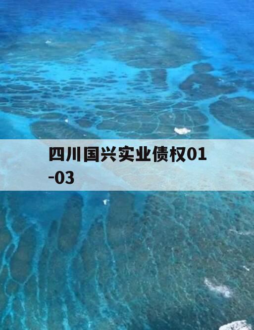 四川国兴实业债权01-03