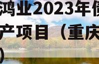 重庆鸿业2023年债权资产项目（重庆鸿业集团）