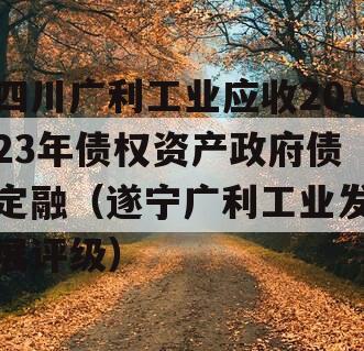 四川广利工业应收2023年债权资产政府债定融（遂宁广利工业发展评级）